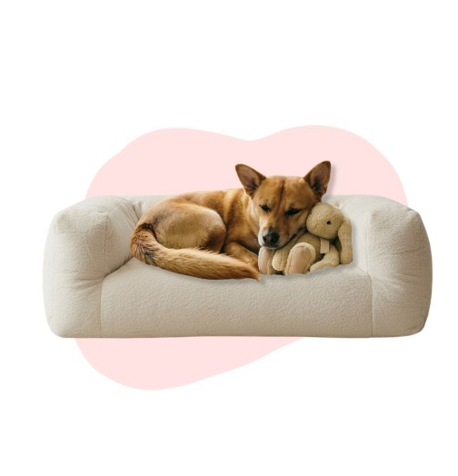 La douce compagnie d’une peluche pour votre chien